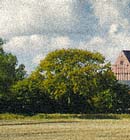 Bild, Greifswald