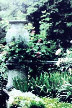 Gartenbild