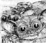 Radierung, Burkhard Kracke